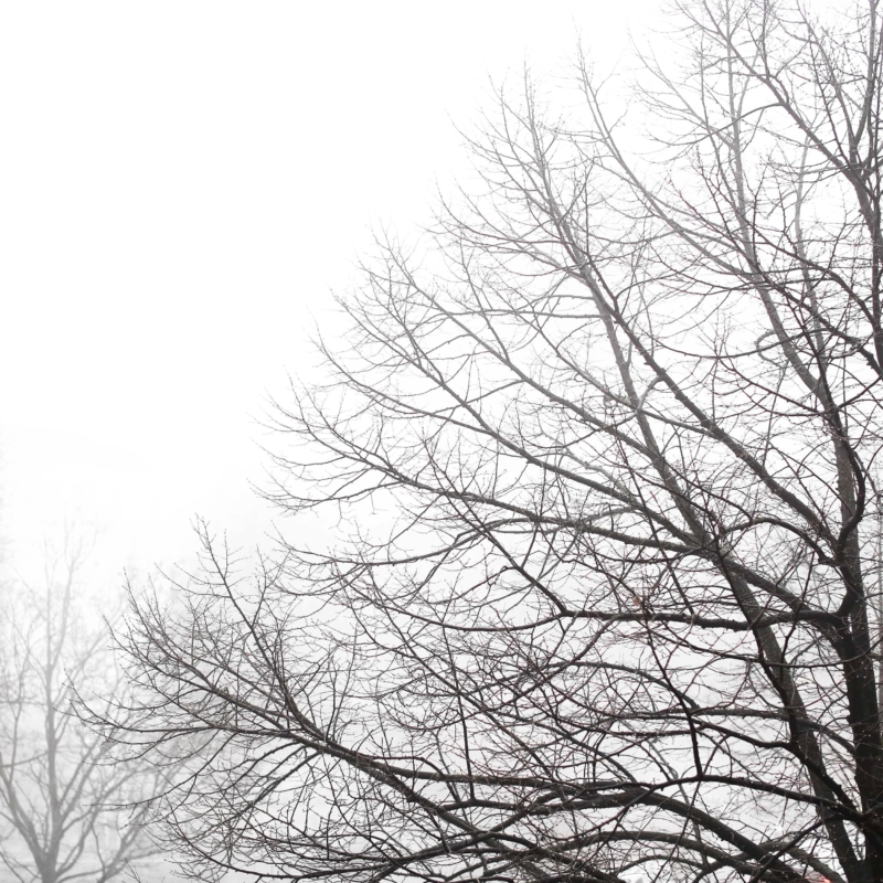 Winterwetter in Berlin