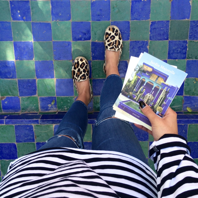 Reiseführer Jardin Majorelle