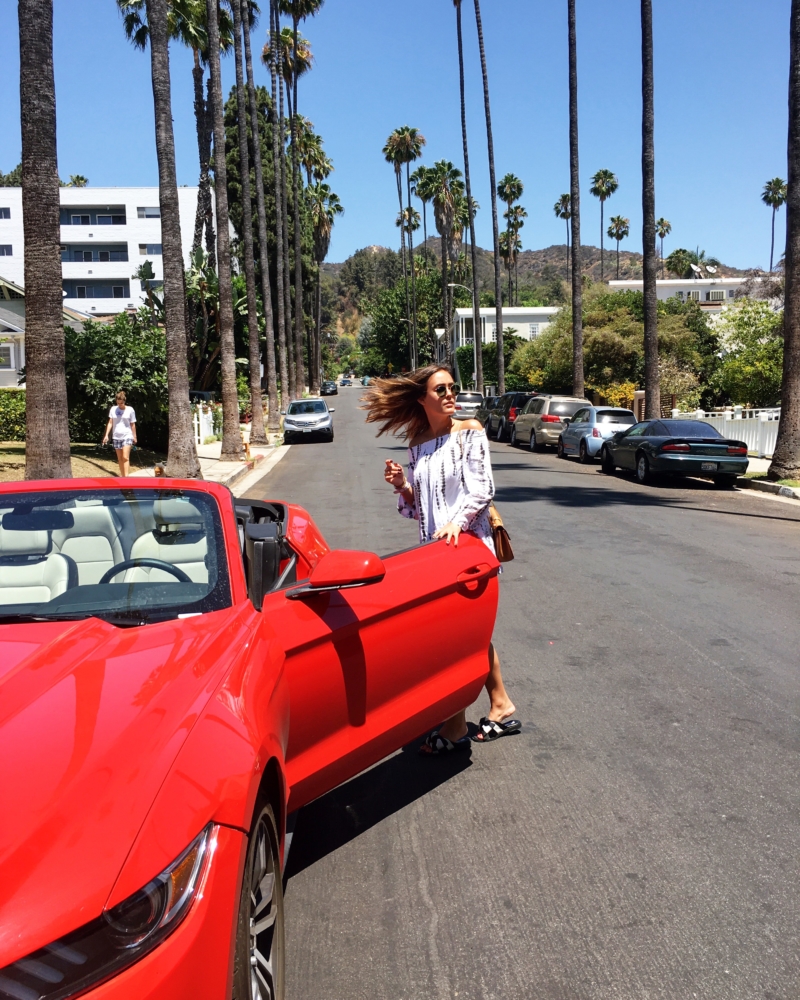 mustang