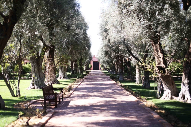 Aussenanlage Hotel la Mamounia