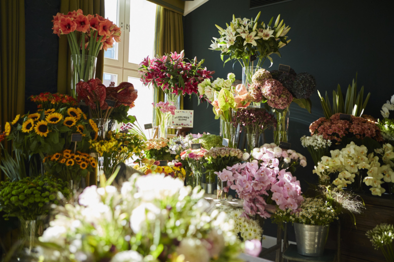 Blumen, Lieblingsblume, Tollwasblumenmachen.de, Blumenmeer